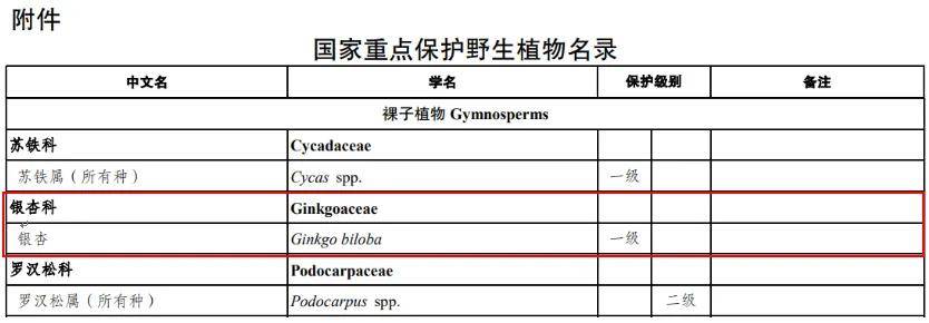 满大街都是银杏树<strong></p>
<p>炒币工具</strong>,为什么还是濒危物种?
