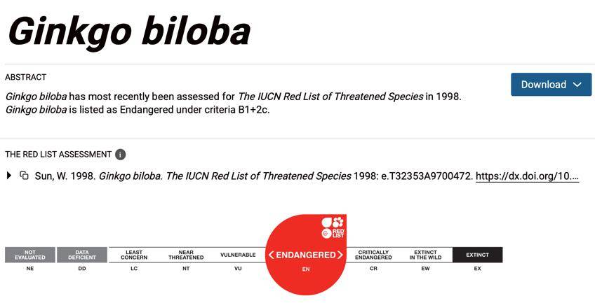 满大街都是银杏树<strong></p>
<p>炒币工具</strong>,为什么还是濒危物种?