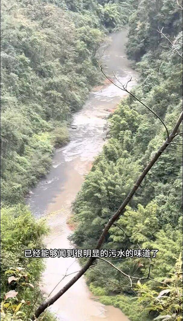 重庆通报：坚决查处<strong></p>
<p>合约币行情</strong>，绝不姑息