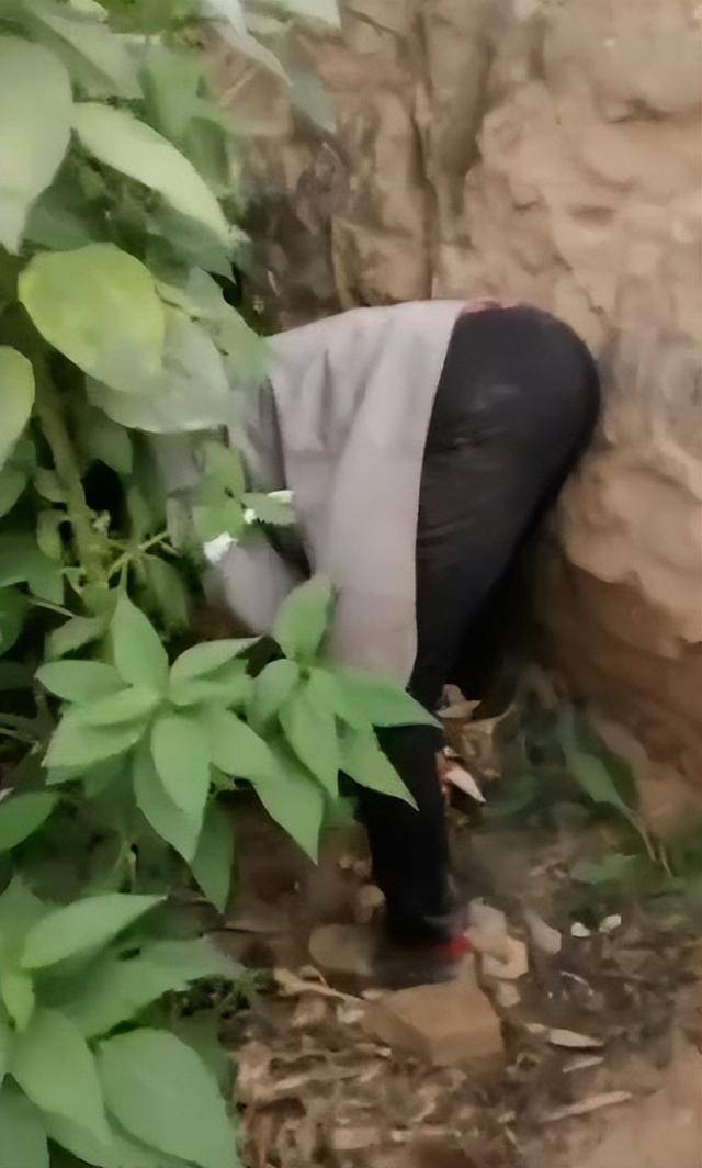 陕西一女子疑因拍亲姑姑偷玉米遭姑父棍杀<strong></p>
<p>知乎币圈</strong>，邻居欲报警也遇害