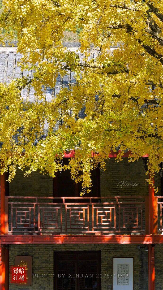 未来三天全省晴,气温缓慢回升<strong></p>
<p>知乎币圈</strong>。明晨淮河以南部分地区有雾或浓雾