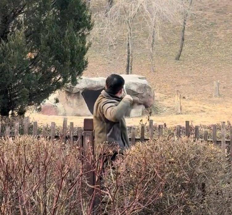 沈阳一男子动物园内用弹弓射老虎<strong></p>
<p>抄币技巧</strong>,目击者称其“填装了弹丸”,打完后老虎爬起来了,园方:正在核实情况