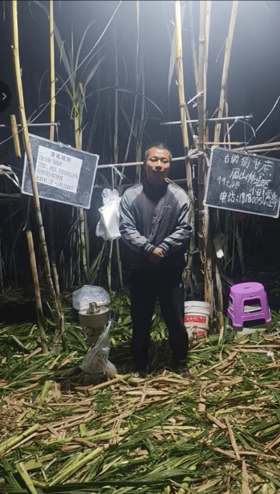 四川眉山自助“偷甘蔗”老板称有人只“偷”不给钱<strong></p>
<p>抄币技巧</strong>，当地文旅：已安排人员现场协调