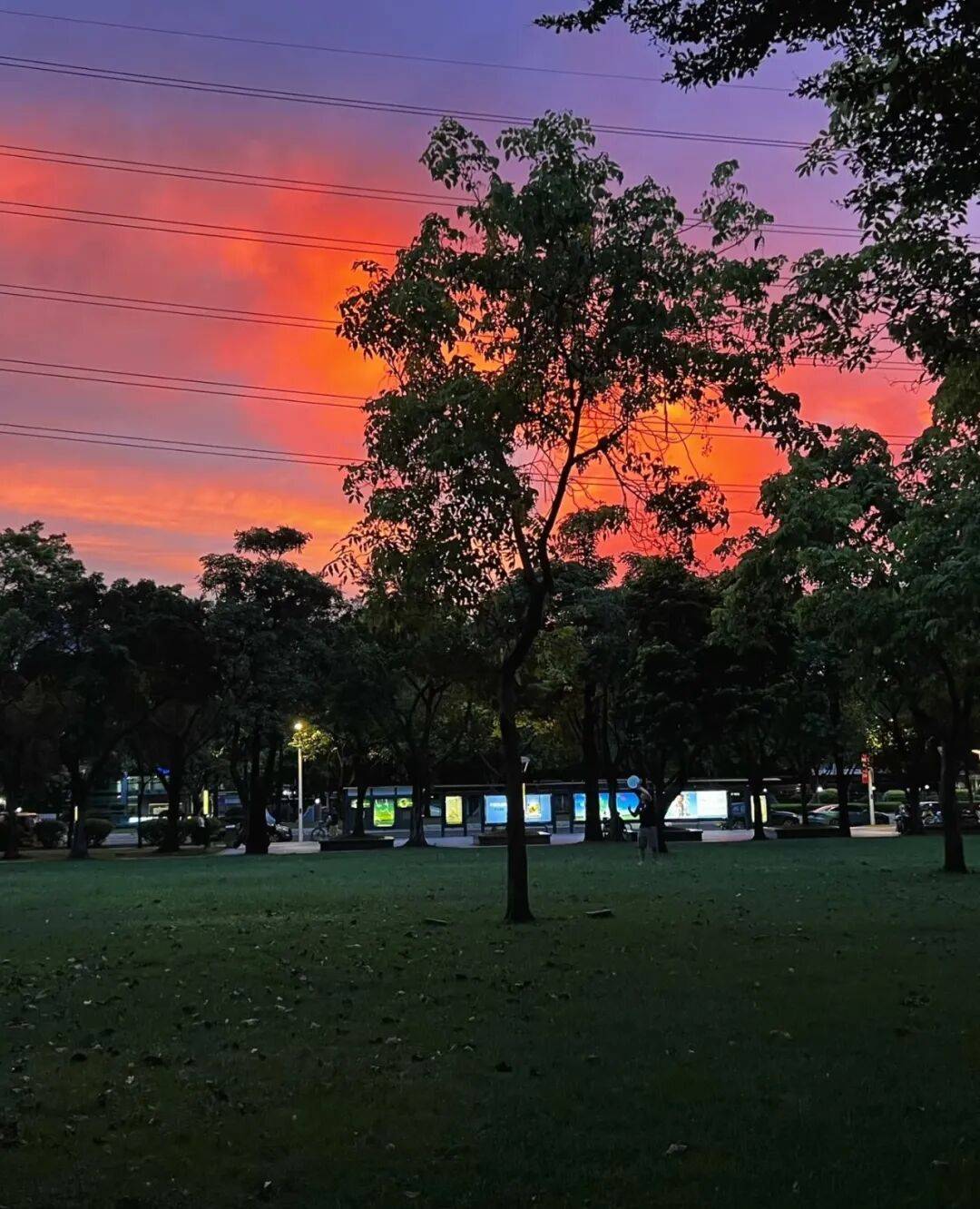 第一批丁克老后<strong></p>
<p>抄币技巧</strong>，“伴侣能陪一程，但最后都要靠自己”