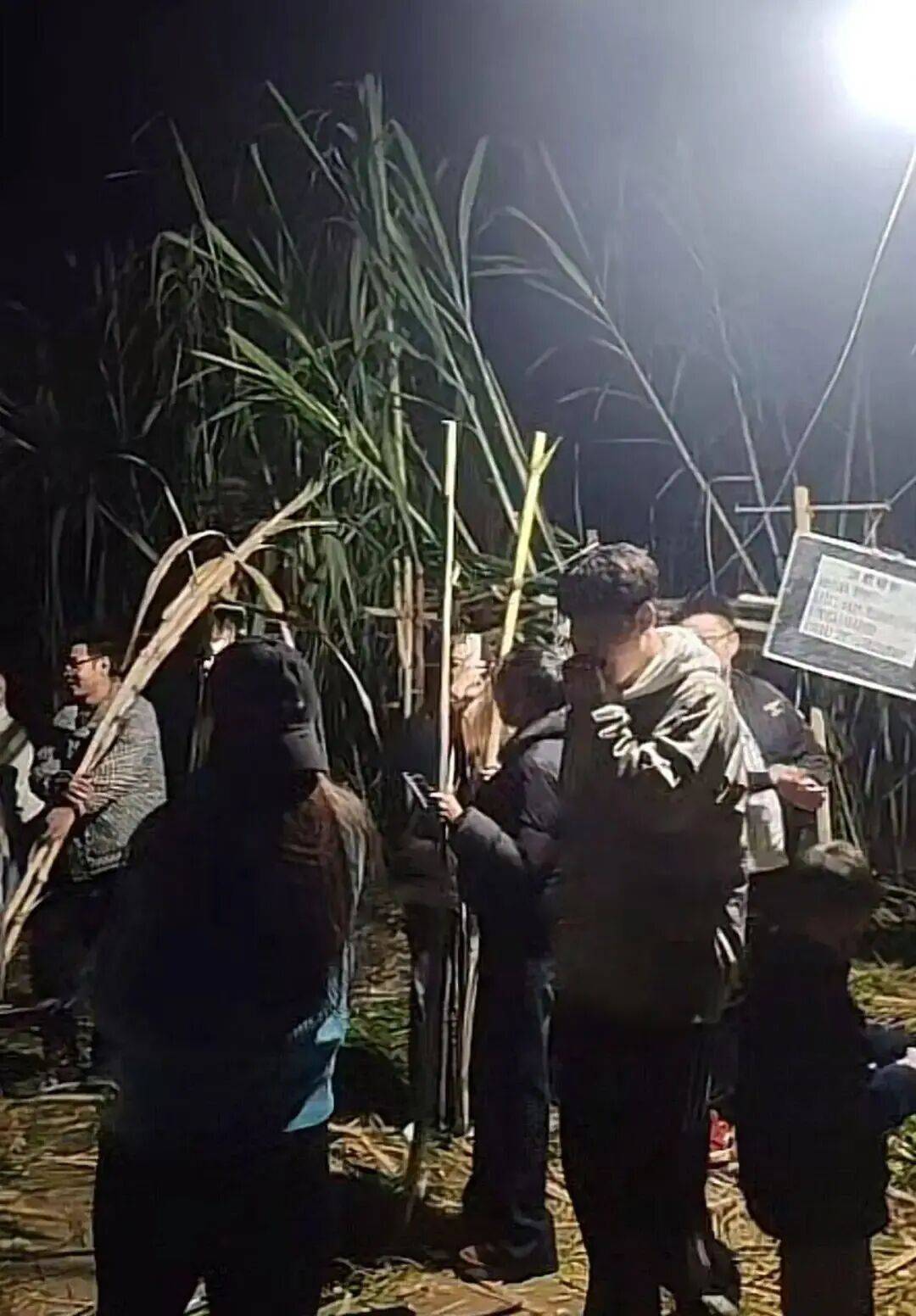 四川眉山“偷甘蔗农场”爆火！增设2.99元入场费后<strong></p>
<p>抄币技巧</strong>，地里仍来了上千游客，“偷甘蔗”被逮到的人要表演才艺，老板：日销售有时近万元