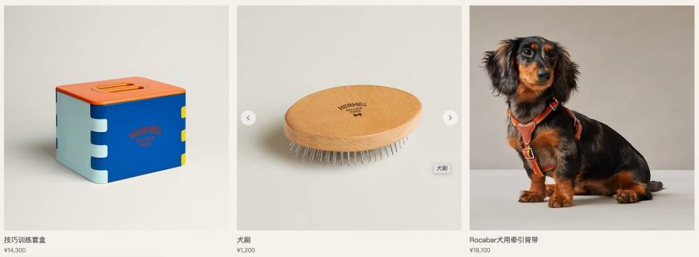 爱马仕新上架2万元不锈钢狗碗<strong></p>
<p>共链币</strong>，客服：只剩少量库存