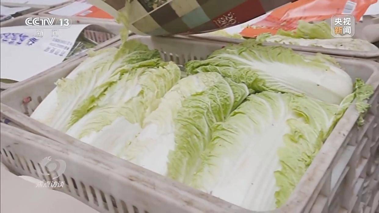 单棵售价超百元<strong></p>
<p>币圈营销</strong>,起底“套牌白菜”背后的销售套路