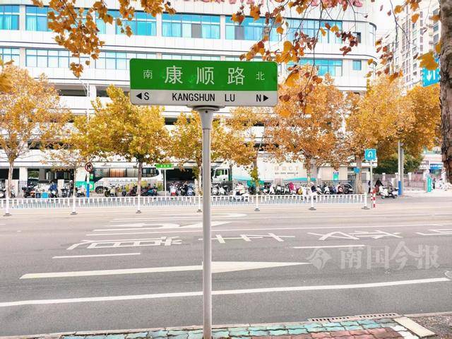 满目金黄<strong></p>
<p>金元币</strong>!柳州法国梧桐迎来最佳观赏期