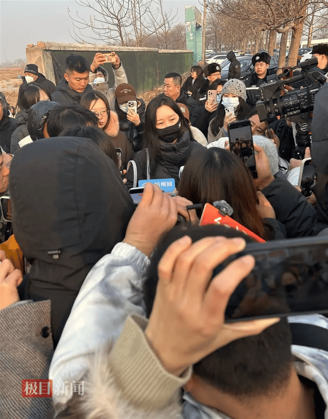 在小区投毒致9条狗死亡，男子获刑4年！