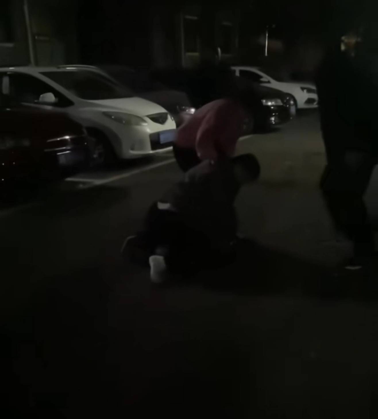 株洲女子夜间遭同小区大狗扑咬，男子从二楼冲下死死摁住肇事狗，众居民：一定要表扬他