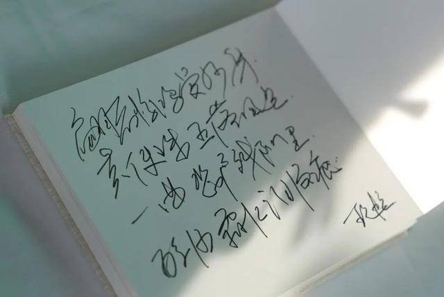 何晴之子追思:妈妈很喜欢雪<strong></p>
<p>一元月亮币</strong>,北京这场雪好像是为她而下