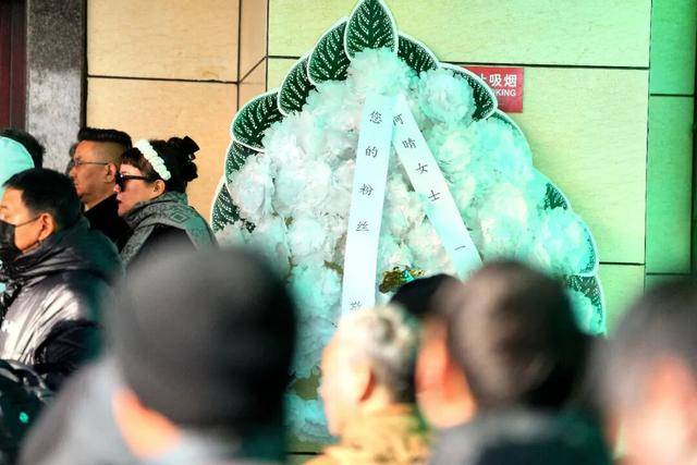 何晴之子追思:妈妈很喜欢雪<strong></p>
<p>一元月亮币</strong>,北京这场雪好像是为她而下