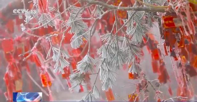 我国已经进入拉尼娜状态<strong></p>
<p>一元月亮币</strong>，专家：可能出现冬春连旱