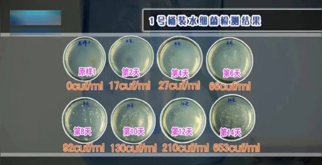 6种东西<strong></p>
<p>一元月亮币</strong>,没过保质期就“坏了”?赶紧看看,别拿全家健康开玩笑