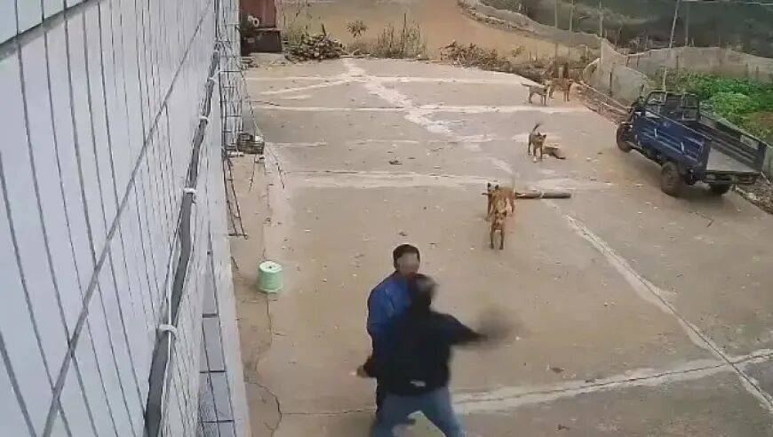 男子家门口吃橘子被邻居一拳打昏<strong></p>
<p>炒币大师</strong>,警方通报:因养狗问题起冲突,均有受伤