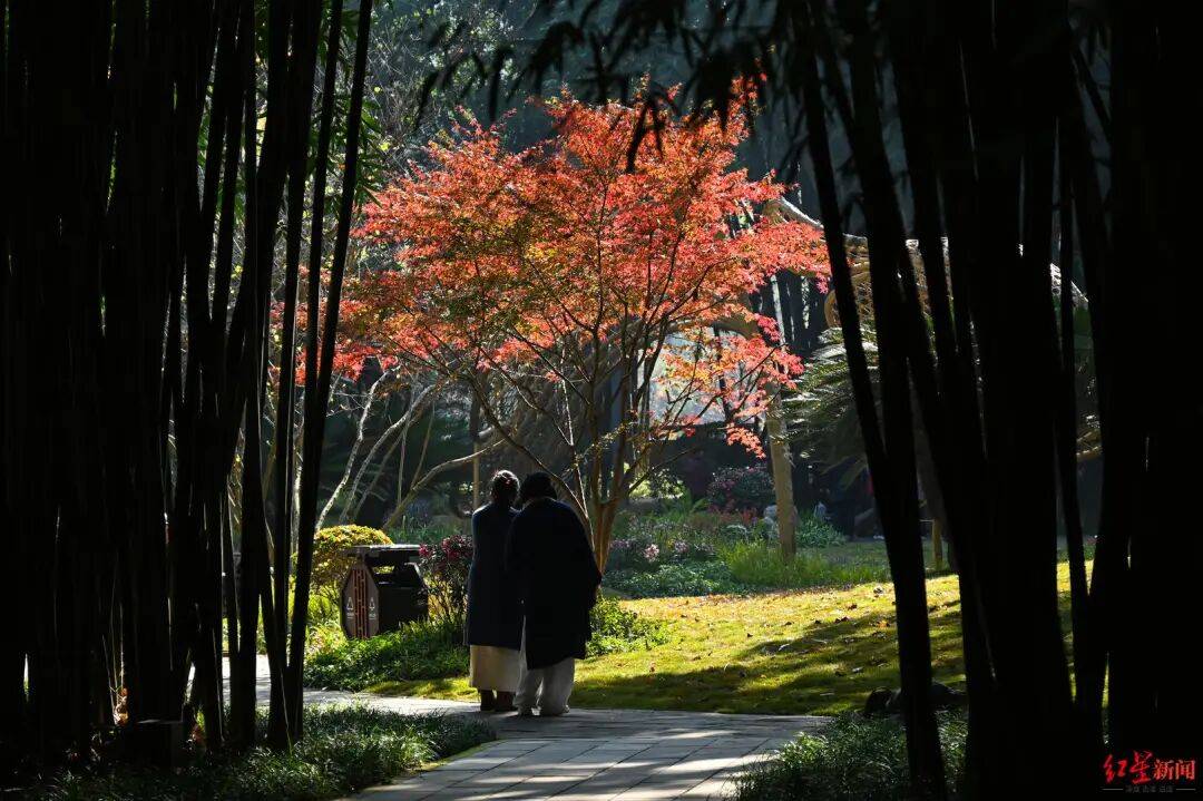 我国已进入拉尼娜状态<strong></p>
<p>币圈阿凡提</strong>！四川今冬或“前暖后冷”