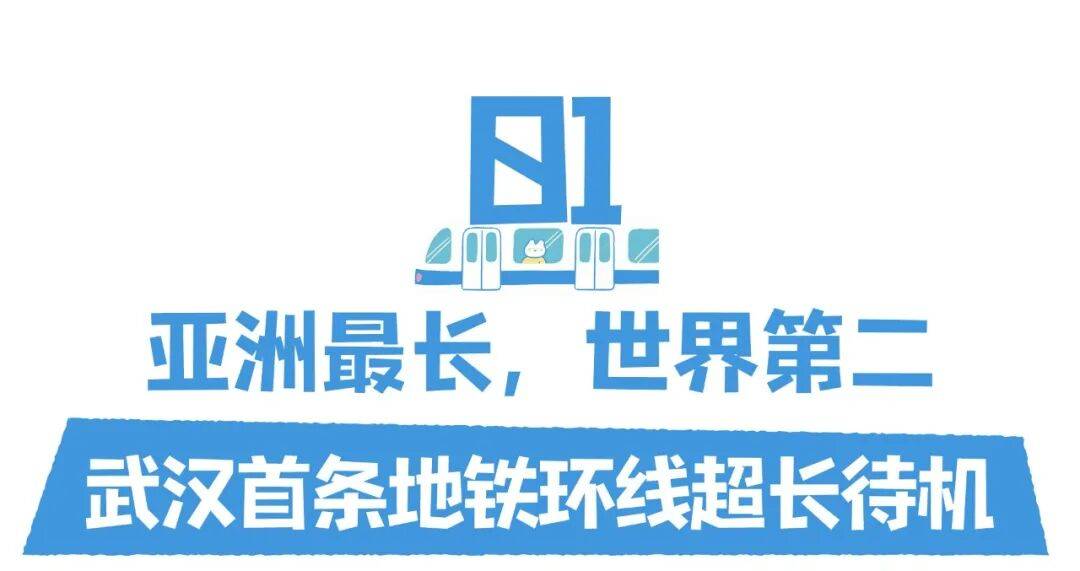亚洲第一<strong></p>
<p>币圈阿凡提</strong>，世界第二，武汉地铁环线王有多牛？