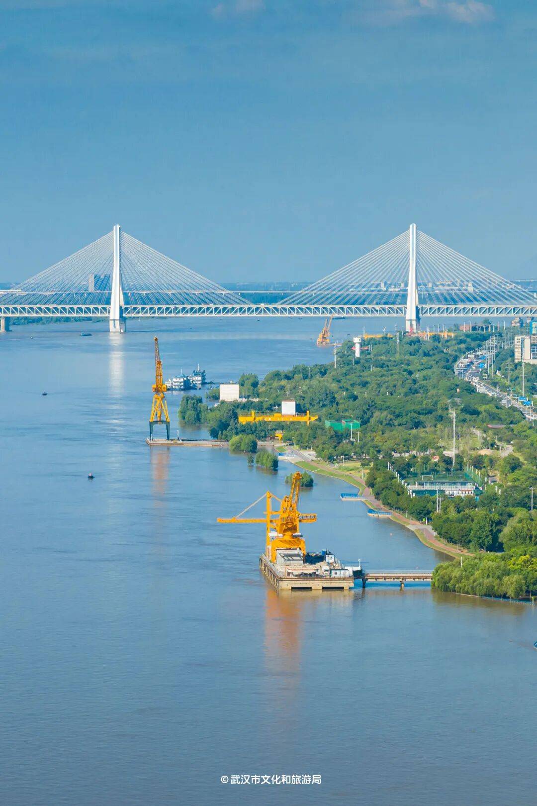 亚洲第一<strong></p>
<p>币圈阿凡提</strong>，世界第二，武汉地铁环线王有多牛？