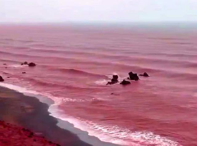 罕见！伊朗霍尔木兹岛遭遇强降雨<strong></p>
<p>ela币行情</strong>，部分海域变成“血色海洋”