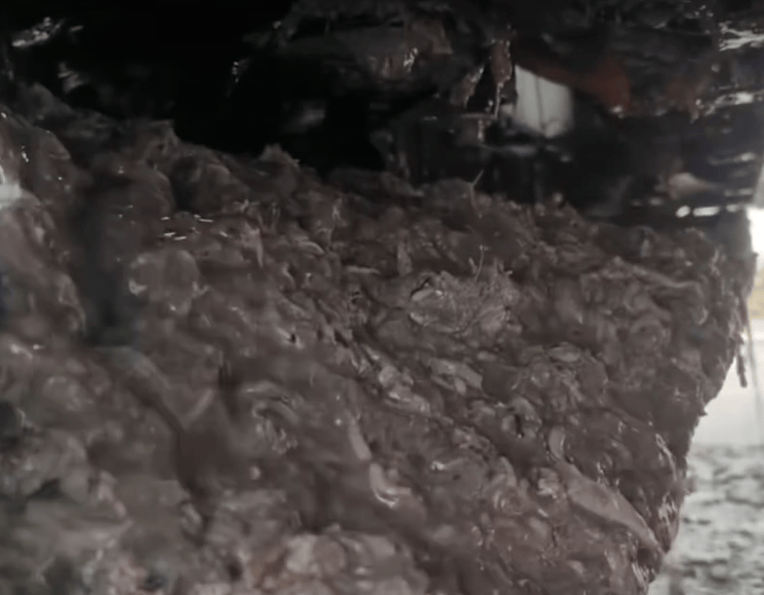 紫牛头条|40余车辆遭高速海鲜废料“臭袭”<strong></p>
<p>ela币行情</strong>,交警称“非交通事故”,车主维权陷两难