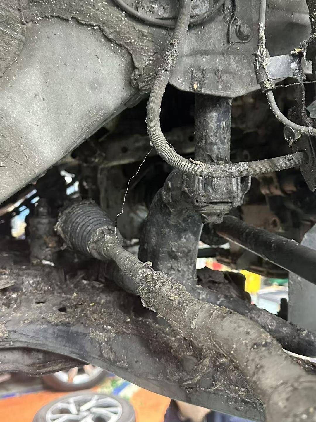 紫牛头条|40余车辆遭高速海鲜废料“臭袭”<strong></p>
<p>ela币行情</strong>,交警称“非交通事故”,车主维权陷两难