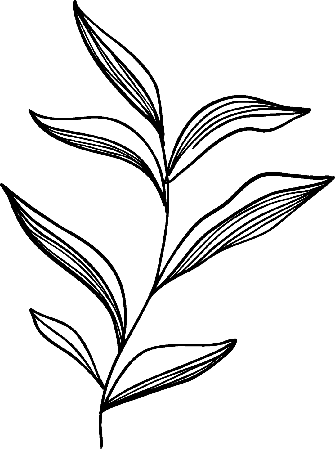 树山分馆限定 | 在竹林里<strong></p>
<p>看币圈</strong>，细品22支咖啡豆的“风味之书”