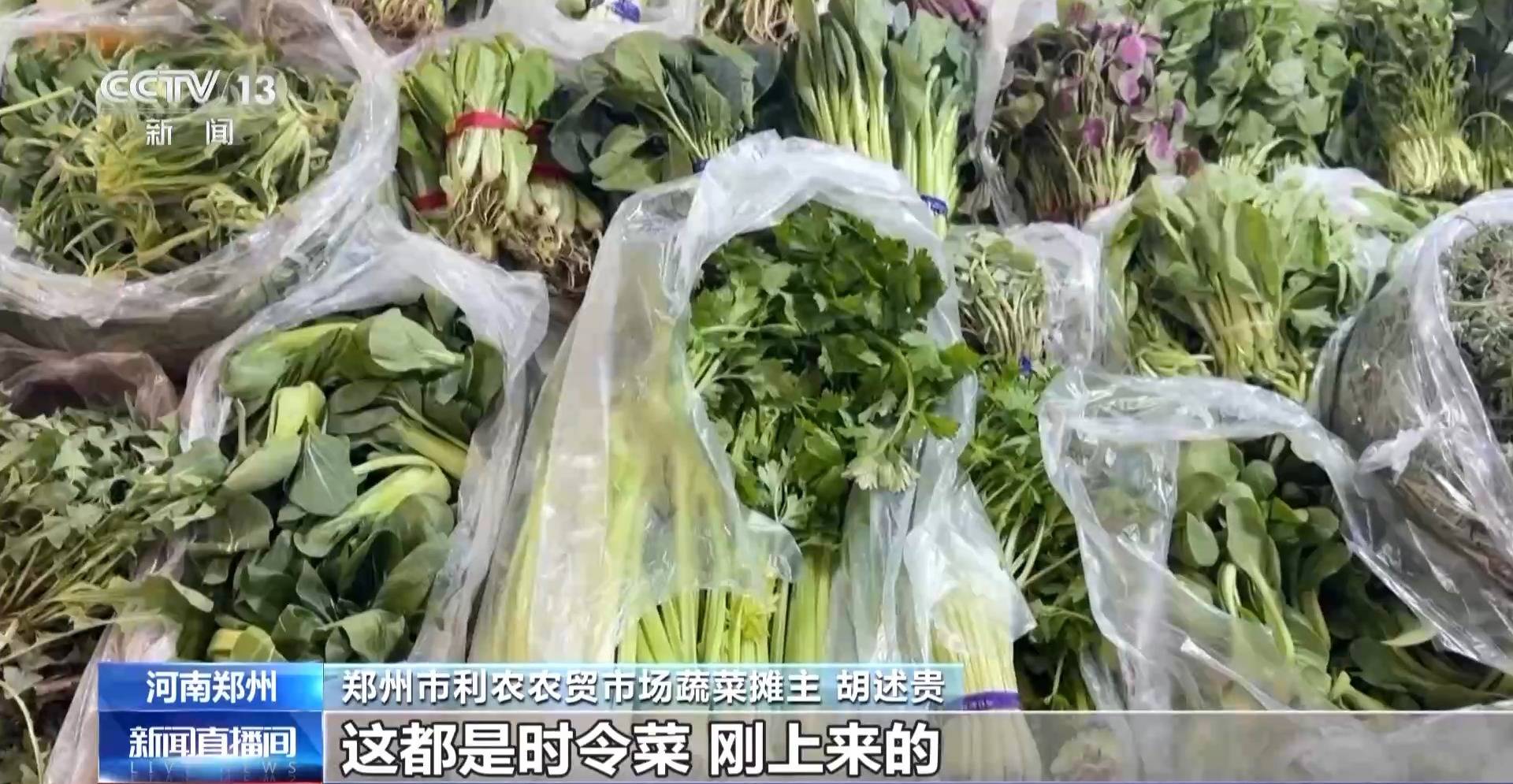 蒸、煎、拌、酿……一口鲜菜如何“锁”住春天<strong></p>
<p>交易系统网</strong>？