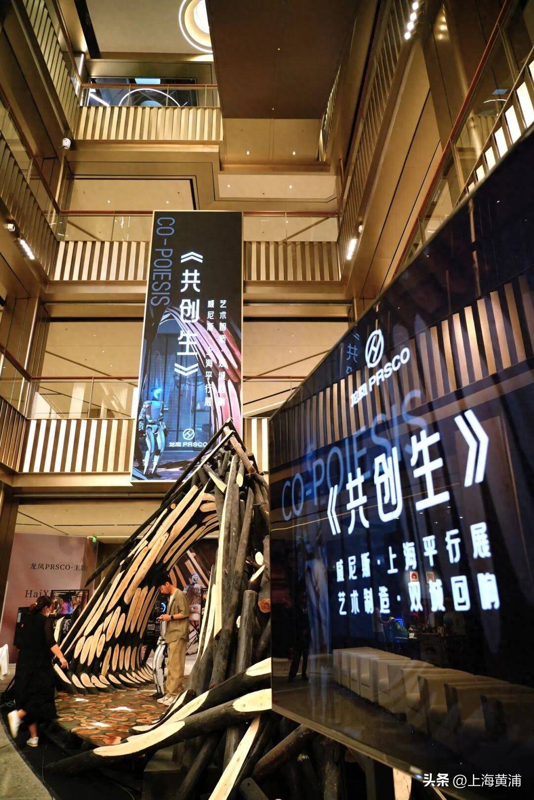 上海最强台风“遗产”，没有被粉碎焚烧，而是在淮海路“重活”一次