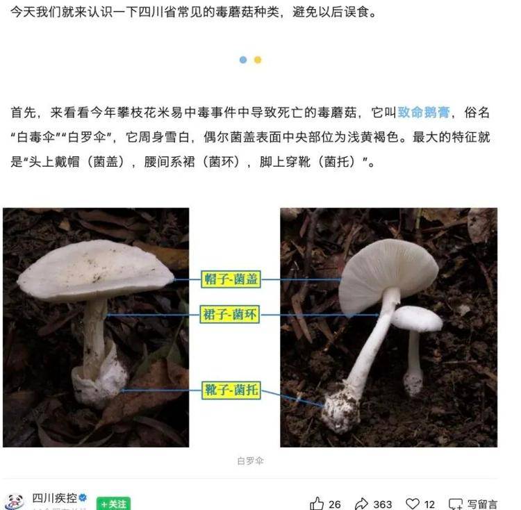 郑州一火锅店菜单现剧毒“白杆杆”？店家称正规渠道采购<strong></p>
<p>币安币</strong>，当地市监未接到相关投诉